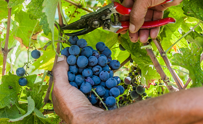 filosofia-produzione