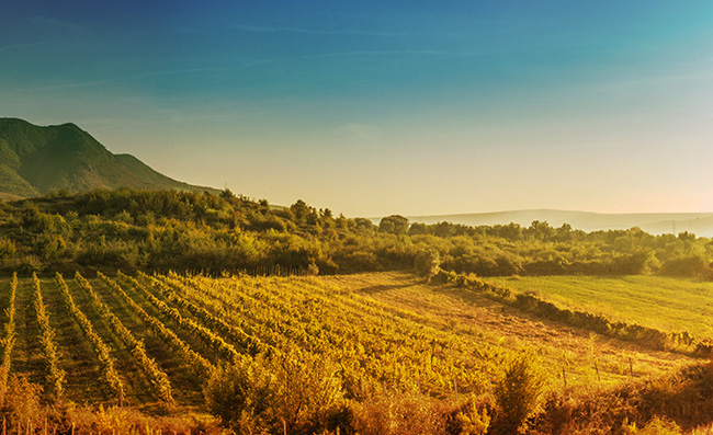 exceptional-conditions